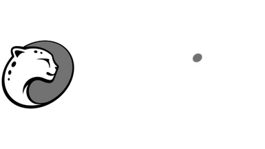 Playtika Playtika